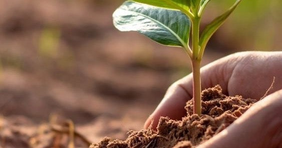 The Impact of Everyday Products