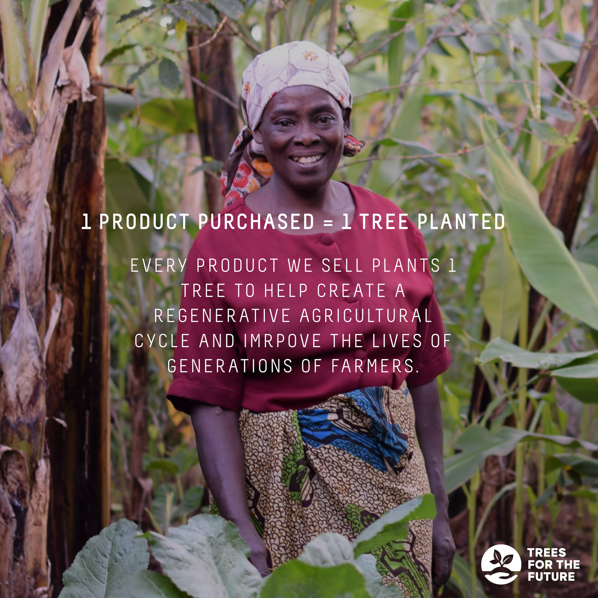 THE GOLDEN EYE MASKS SET